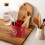 Christmas Metal Kitchen Caddy With 4 Compartments 6