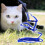 Cat Leidsels En Harnassen Kittens Nylon 11