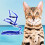 Cat Leidsels En Harnassen Kittens Nylon 6