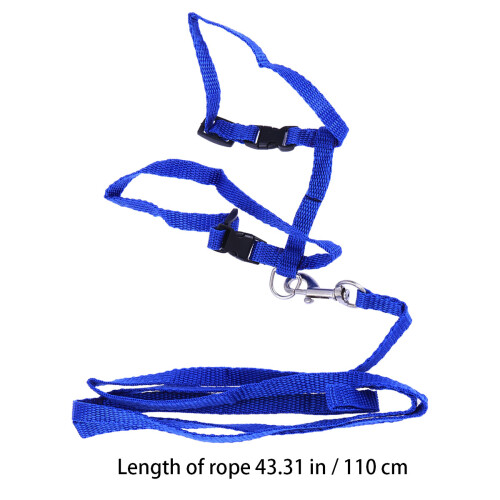 Cat Leidsels En Harnassen Kittens Nylon 1