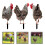 3Stück Yard Chicken Steckerdekoration Eingesteckte Huhn- 4