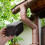 Downspout Adapter Aluminiumlegierung Ellbogen 5