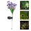 Solarleuchte Lila 1 Outdoor 2