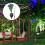 Solarleuchte Lila 1 Outdoor 11