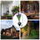 Solarleuchte Lila 1 Outdoor 10