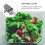 Isolierte Lunchbox Für Und Camping 9
