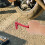 Levier De Changement Aluminium Rouge Pour Robuste 11