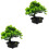 2St Künstlicher Bonsai-Kiefernbaum In Topf 5