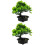 2St Künstlicher Bonsai-Kiefernbaum In Topf 7