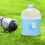 Bird Trinkflasche Himmelblau ABS 1 Für 6
