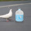 Bird Trinkflasche Himmelblau ABS 1 Für 8