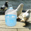Bird Trinkflasche Himmelblau ABS 1 Für 10