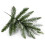 7ft Lapland Spruce Christmas Tree 4