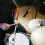 4 Stuks Drum Tip Mute Covers Voor Muzikanten 4