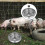 Futterschale Für Nutztiere Fütterung Schwein Haustier Silber 11