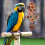 Parrot Shredding Chew Toy for Bird Cage Hanging 3