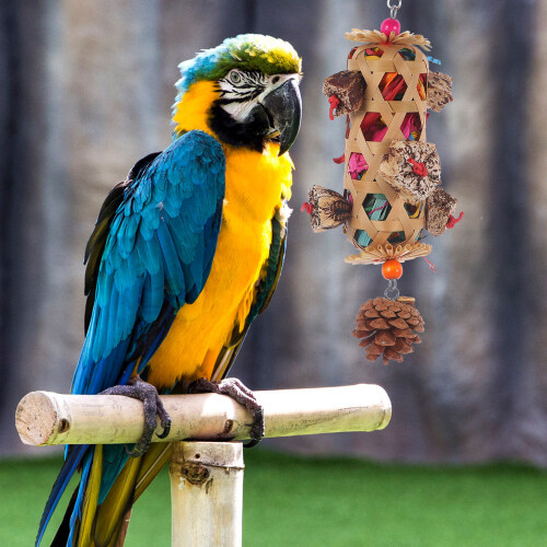 Parrot Shredding Chew Toy for Bird Cage Hanging 2