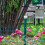 Raindrops 20 Gatenloze Eindkap Beveiligingsrail Plug Accessoires 6