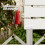 Raindrops 20 Gatenloze Eindkap Beveiligingsrail Plug Accessoires 5