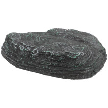 Gymnture Schildpad Zonnebadplatform Hars Rampaquarium Decoratie