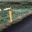 2 Stks Reflecterende Delineator Oprit Marker Reflectoren Gebruik 3