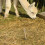 1Set Eisenpflock Für Indoor Und Outdoor Ausrüstung 11