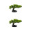 2 Sushi Herstellungskit Queue Sashimi Fein 4