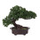 2Stk Künstliche Im Topf Bonsai 1