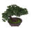 2Stk Künstliche Im Topf Bonsai 11