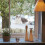 Kitten Window Bed Mit Saugnapf Design 8