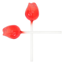 Selbstbewässerungssystem Spikes Pflanzen Bewässerungskugeln Rot 2