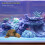 Fish Onderwater Landschap Aquarium Opstelling Multi Hars 1 Set 5