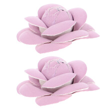2 Schuhblumen 5,70x5,70x2,50 Cm Violett