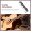 Guitar String Polished Beam Leveling Aluminiumlegierung 11