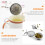 10Pcs Stainless Steel Tea Strainers Mesh Infusers for Loose Tea Silver 8