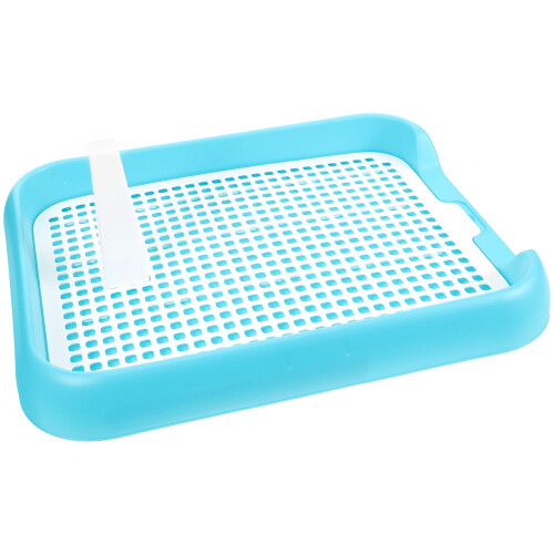 Tablett Indoor Toiletten Training Himmelblau 1