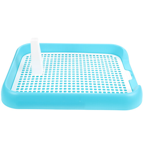 Tablett Indoor Toiletten Training Himmelblau 1 2