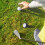 6Stück Golfcup Gummierter Austauschbarer 9