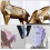 15 Reflecterende 3D-Scanning 6 Mm Markeringsetiketten 6