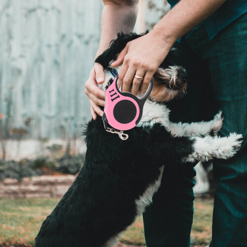 1X Hondenloopriem Uitrekbaar Roze Ergonomisch Puppy 2