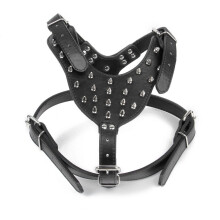 Spike Studded Pu Dog Harness For Pitbull Terrier (Black)