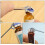 Vial Opener 3 Multifunktionaler 6
