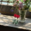 Flower Arranging Pin Holder For Flowers Socket Gadget 6