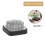 Flower Arranging Pin Holder For Flowers Socket Gadget 8