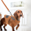 1 Set Hundegeschirr The Dog Hen Polyester 4