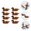 8 Ente Holz Essstäbchenhalter Set 3