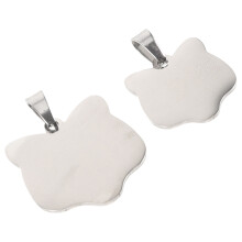 2 Gravierte Hundeausweise Leere Haustiermarke 3x2,5 Cm Silber