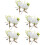 10 - -Korsagen - -Boutonniere 8
