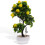 Künstlicher Fruchtbaum PP Blumen Büro Desktop 5