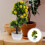 Künstlicher Fruchtbaum PP Blumen Büro Desktop 6